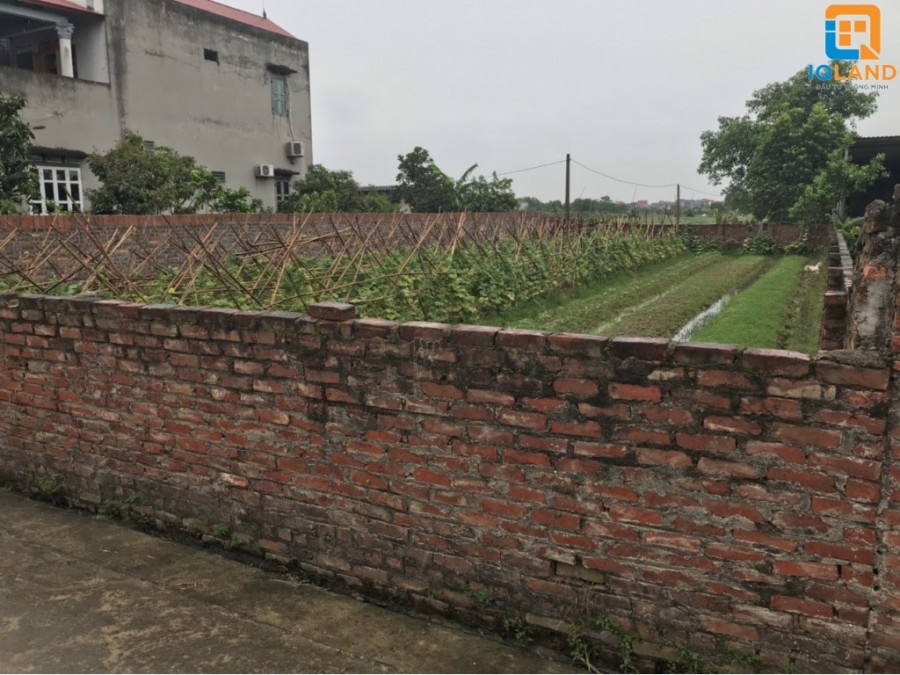 Do chuyển đổi mục đích nên cần bán gấp 180m2 dễ thanh khoản đẹp đất Bắc Thượng - Quang Tiến - Sóc Sơn, Hà Nội.