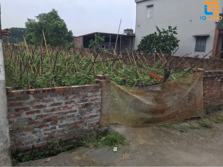 Do chuyển đổi mục đích nên cần bán gấp 180m2 dễ thanh khoản đẹp đất Bắc Thượng - Quang Tiến - Sóc Sơn, Hà Nội.