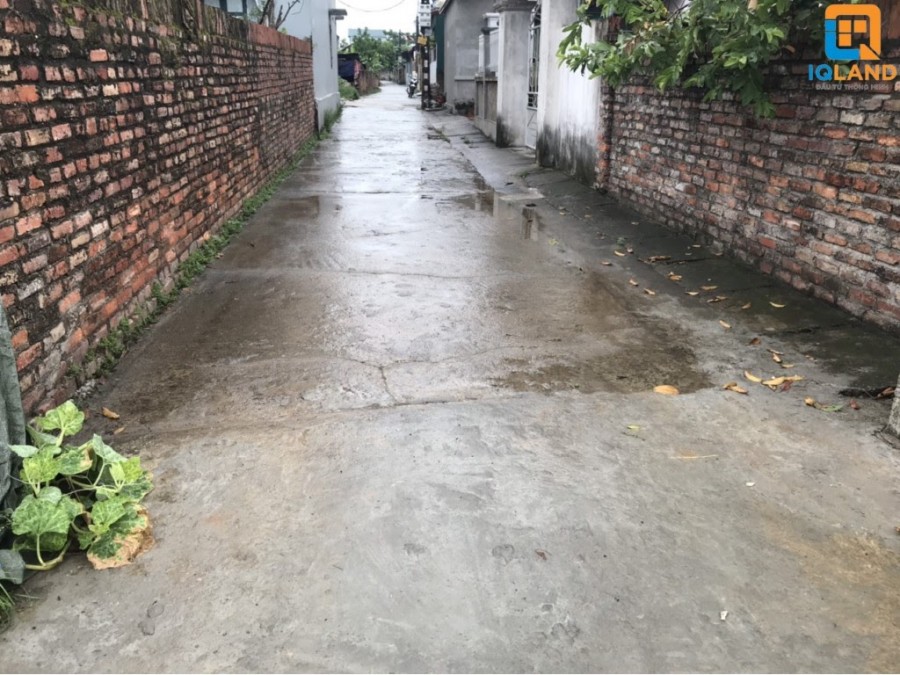Do chuyển đổi mục đích nên cần bán gấp 180m2 dễ thanh khoản đẹp đất Bắc Thượng - Quang Tiến - Sóc Sơn, Hà Nội.