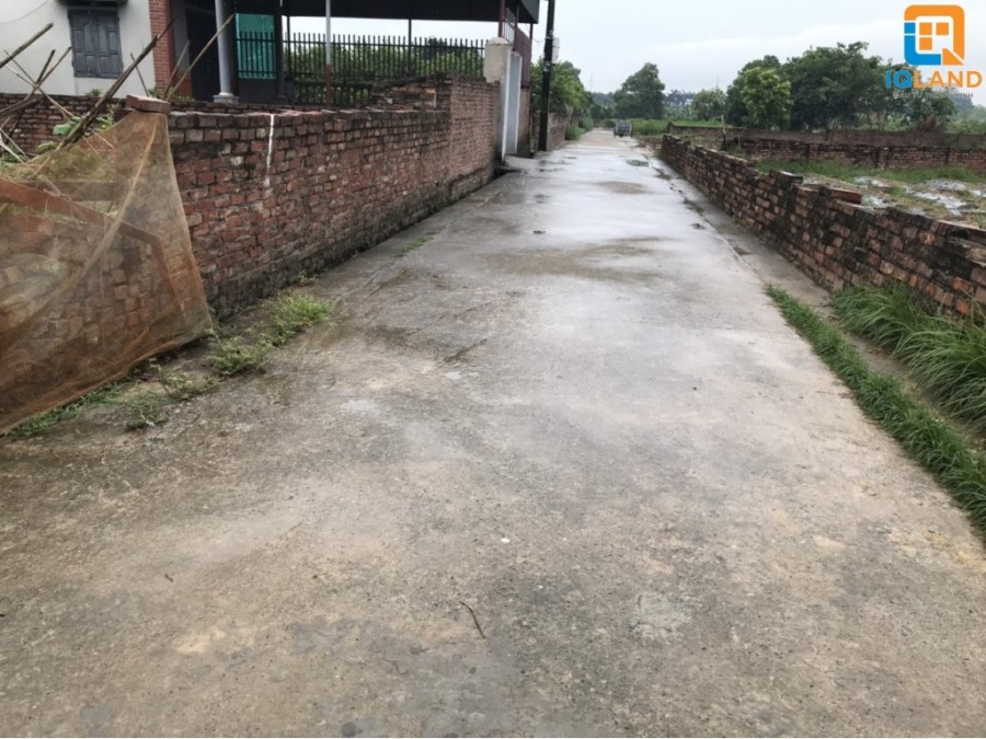 Do chuyển đổi mục đích nên cần bán gấp 180m2 dễ thanh khoản đẹp đất Bắc Thượng - Quang Tiến - Sóc Sơn, Hà Nội.