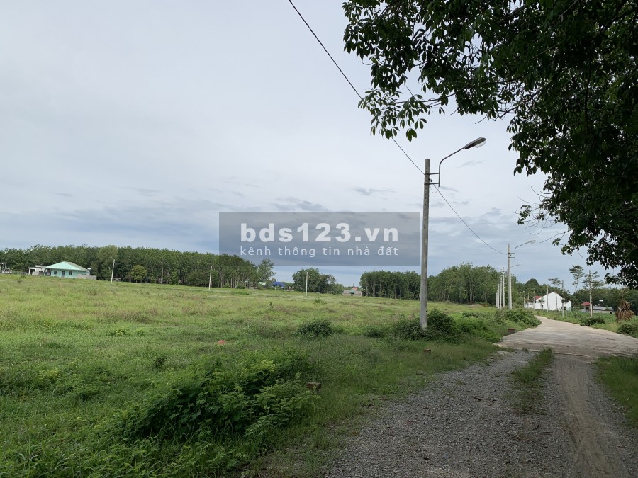 Chính chủ bán gấp đất ngay Uỷ ban đi vao, đối diện kcn 5.928m2, giá 550 triệu, đầu tư sinh lời