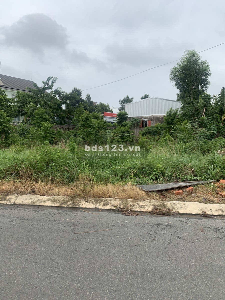 Đất tương bình hiệp, 245m2 giá hạt dẻ, sang tên đổi chủ ngay trong ngày