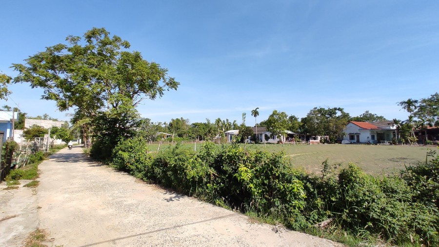 Cần bán gấp vài lô đất tại Điện Hòa-Điện Bàn,giá chỉ…