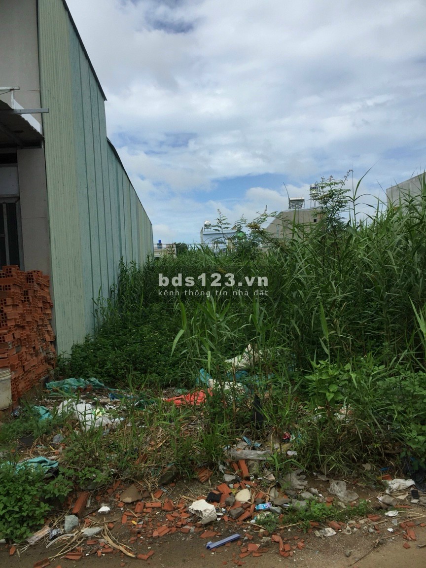 Gấp lô đất mặt tiền Tỉnh lộ ngay chợ Chiều, 135m2, giá 1 tỷ 400 triệu, có thổ cư