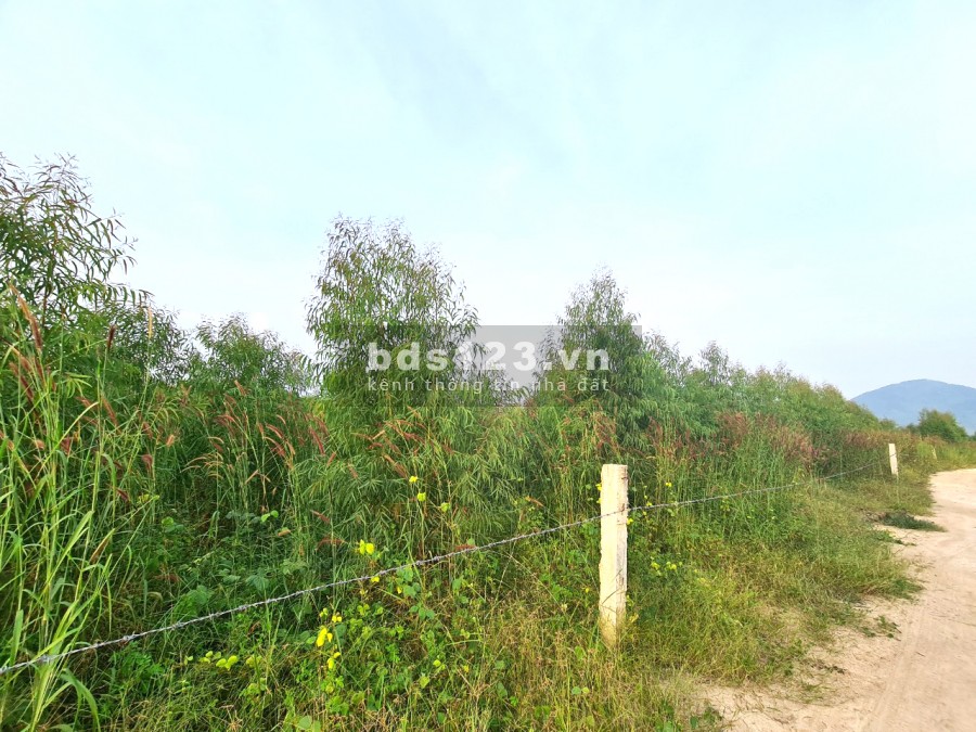 Bán đất mặt tiền thị trấn Tân Nghĩa 7000m2, giá 1.6 tỷ, Hàm Tân, Bình Tân, liên hệ 0931144449