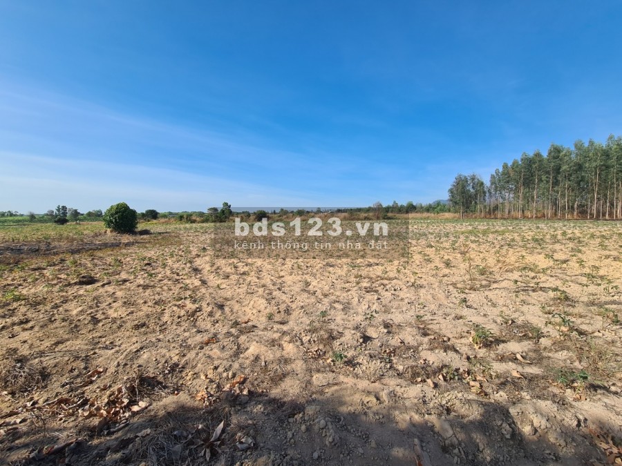 Bán Đất Mặt Tiền 555 triệu, 33x150m, KP 7, T. trấn Tân Nghĩa, Hàm Tân, Bình Thuận - 0933644449