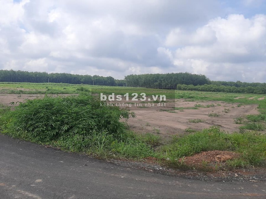 Bán đất chính chủ tại Bình Phước, sổ riêng, công chứng ngay, chiết khấu cực ưu đãi