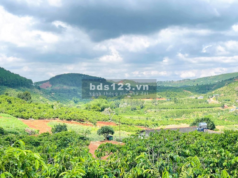 Bán nhanh 1035m2 đất đẹp, Tân Hà, view thung lũng, giáp suối giá bán 2.5 tỷ