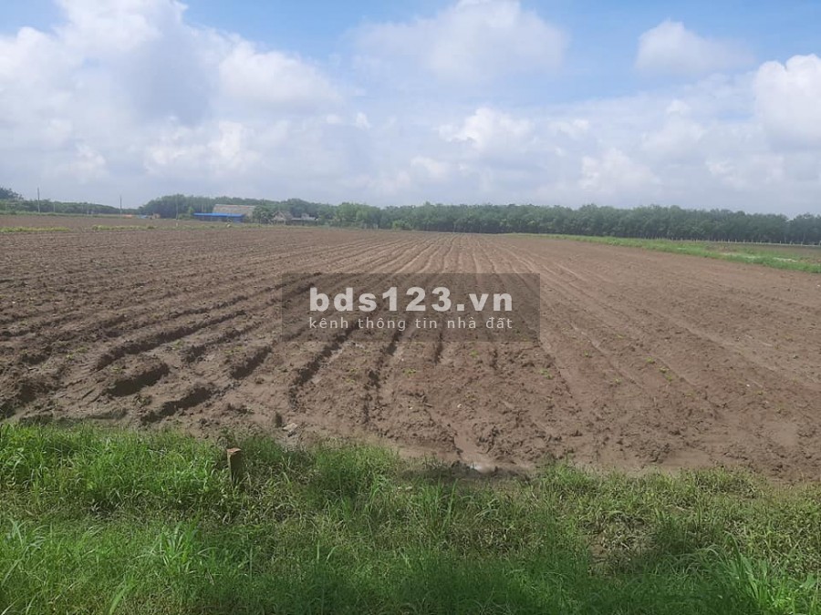 Bán đất chính chủ tại Bình Phước, sổ riêng, công chứng ngay, chiết khấu cực ưu đãi