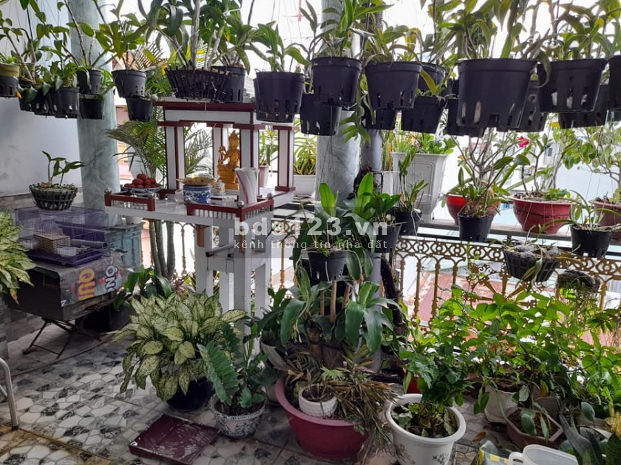 Nhà đẹp GIÁ TỐT ngay cầu vượt Quang Trung, không có căn thứ 2