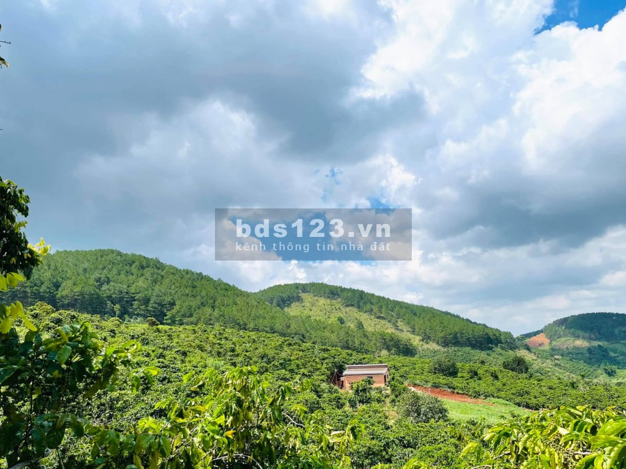 Bán nhanh 1035m2 đất đẹp, Tân Hà, view thung lũng, giáp suối giá bán 2.5 tỷ