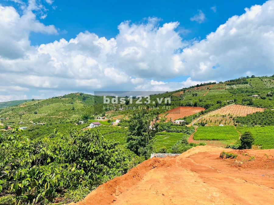 Bán nhanh 1035m2 đất đẹp, Tân Hà, view thung lũng, giáp suối giá bán 2.5 tỷ