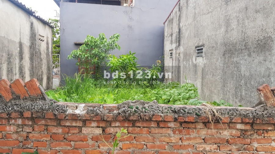 Bán đất tổ 4 Kim Quan, p Việt Hưng, dt 42.5m2, ngõ thông, cách đường ô tô 15m