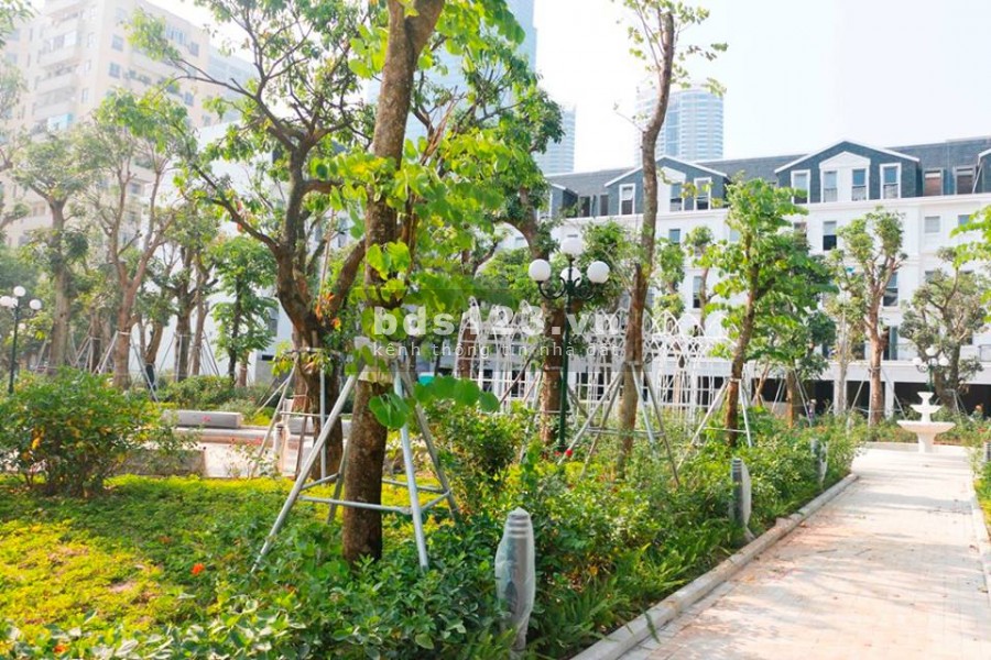 Chủ đầu tư Trực tiếp bán nhà phân lô đường Hoàng Ngân 115m2, giá 33 tỷ