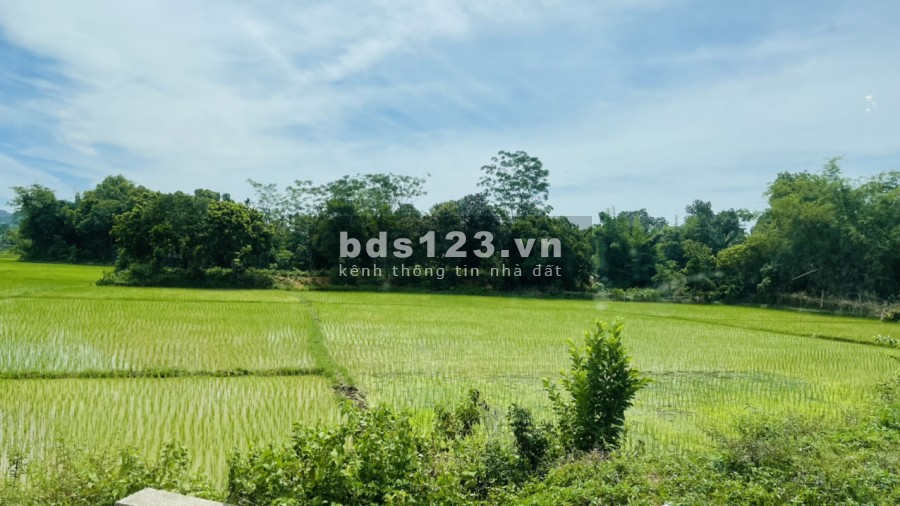 Mảnh đất đầy tiềm năng 918m full thổ cư 2 mặt tiền Cao Thắng Lương Sơn