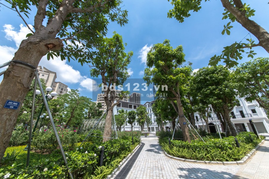 Chủ đầu tư Trực tiếp bán nhà phân lô đường Hoàng Ngân 115m2, giá 33 tỷ