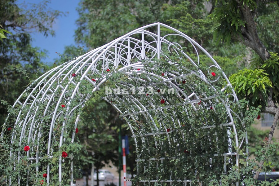 Chủ đầu tư Trực tiếp bán nhà phân lô đường Hoàng Ngân 115m2, giá 33 tỷ