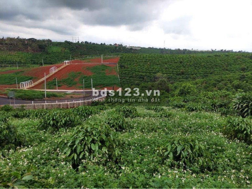 Ván lô đất bên cạnh khu nghỉ dưỡng Lộc An, huyện Bảo Lâm, dt 5200m2