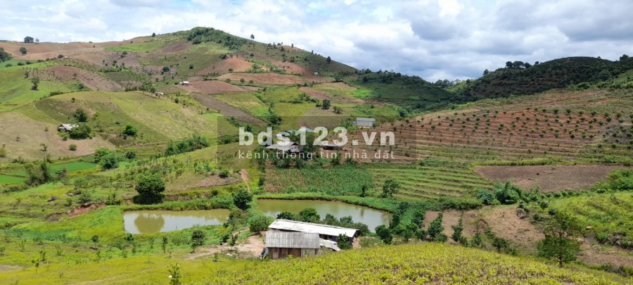 Bán đất Mộc Châu làm trang trại giá đầu song ngọn gió rẻ nhất thị trường