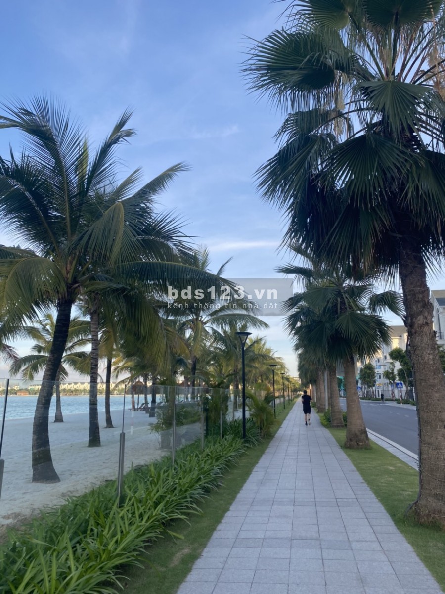 Villa Song Lập, Đơn Lập Dự án Ocean Park Gia Lâm, sổ đỏ dài hạn