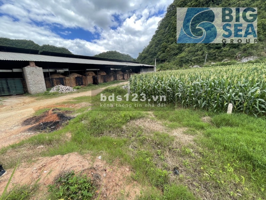 Đất nền Mộc Châu đón đầu dự án quy hoạch giá rẻ thoả thuận, mt rộng 9m