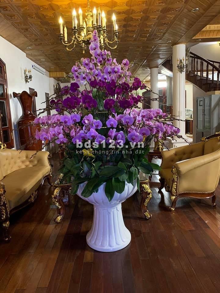 Chính chủ bán biệt thự đơn lập Hà Đông 318m2 x 4T vip duy nhất 0969040000