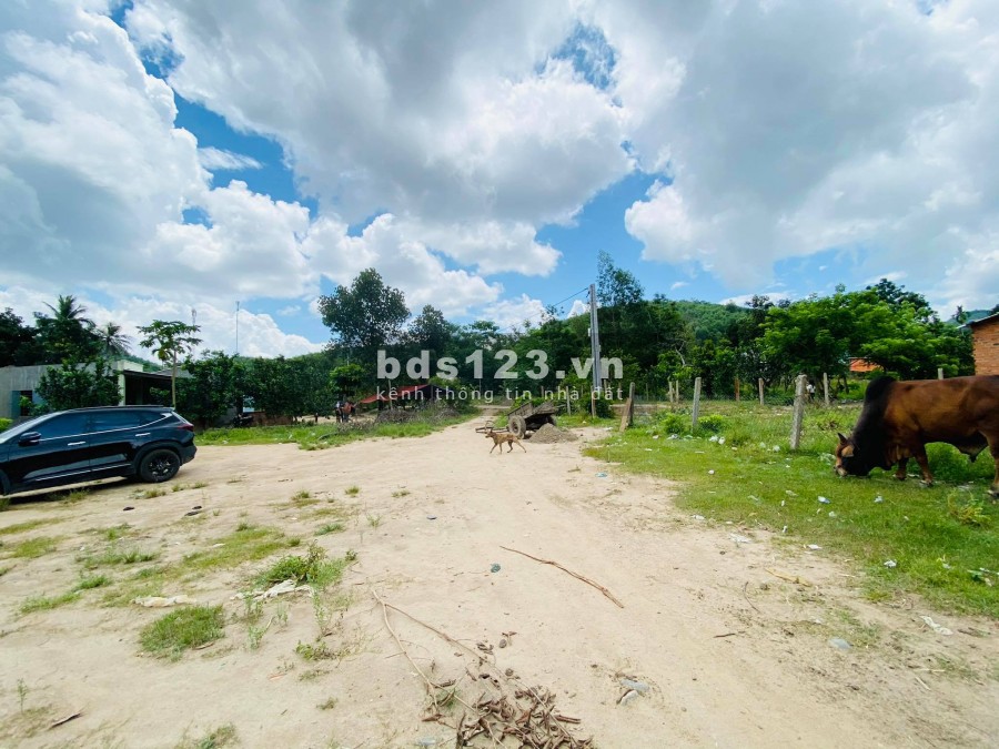 Bán đất giá 1 tỷ có thổ cư giáp Suối đẹp xã Khánh Thành LH 0788.558.552
