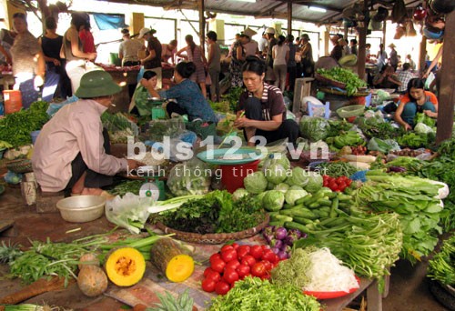 Bán đất view sinh thái, gần kcn dân cư đông, dt 10.000m2, shr chính chủ, kề chợ, giá 560 triệu