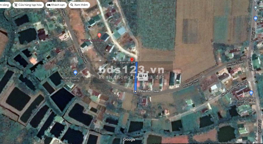 Bán 332 m2 đất xây Homestay tại TP Bảo Lộc, Lâm Đồng