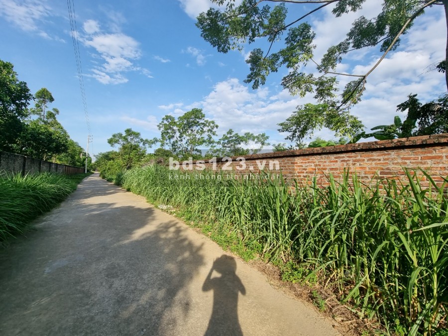 1050m2 có 200m đât ở mặt tiền rồng 18m đường rộng 8m . Thuỷ xuân Tiên Chương Mỹ