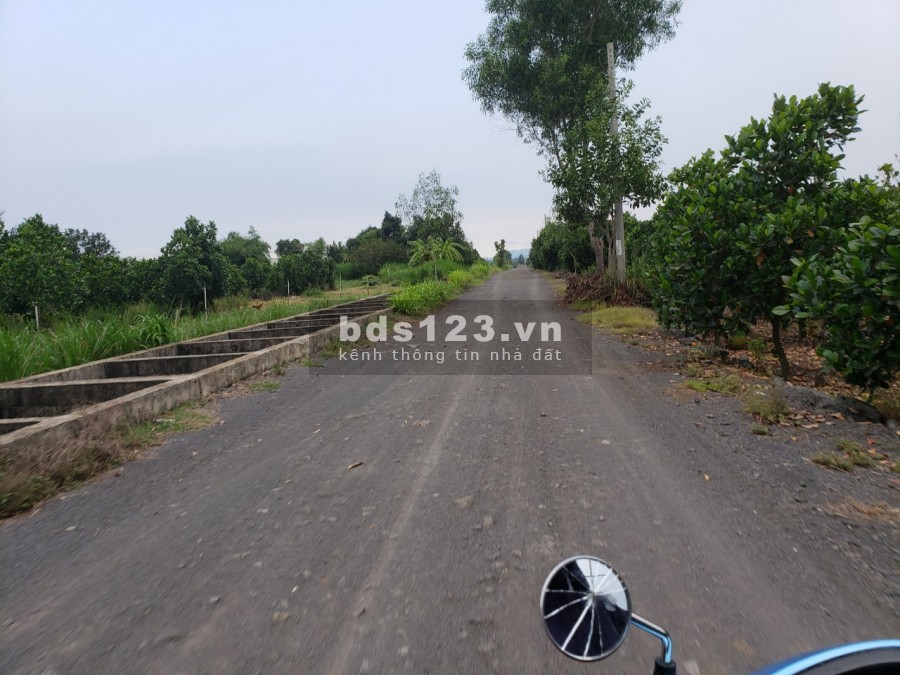 Bán đất gần khu công nghiệp thuộc xã Long Tân , Đất Đỏ , BRVT