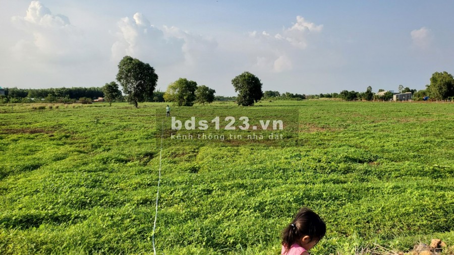 Bán đất gần khu công nghiệp thuộc xã Long Tân , Đất Đỏ , BRVT