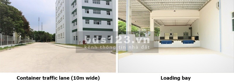 Cho thuê kho cao tầng khu công nghiệp Long Hậu Cần Giuộc Long An