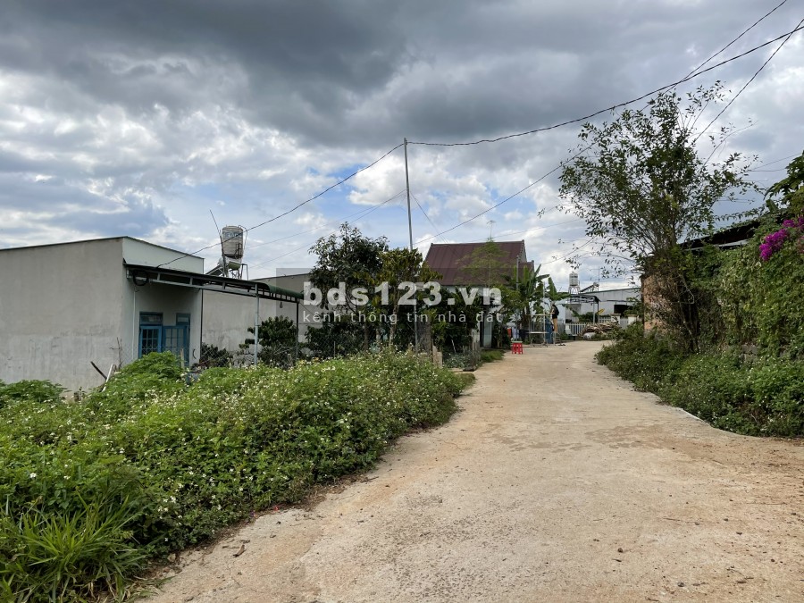 Bán 332 m2 đất xây Homestay tại TP Bảo Lộc, Lâm Đồng
