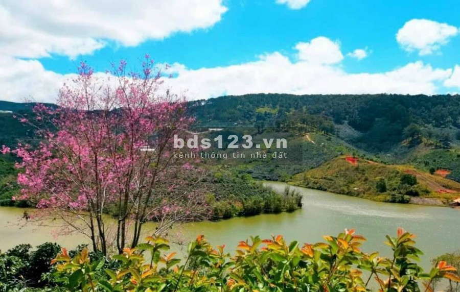 Đất Xuân Trường - Điểm view đẹp, săn mây lý tưởng, giá 4.1 tỷ