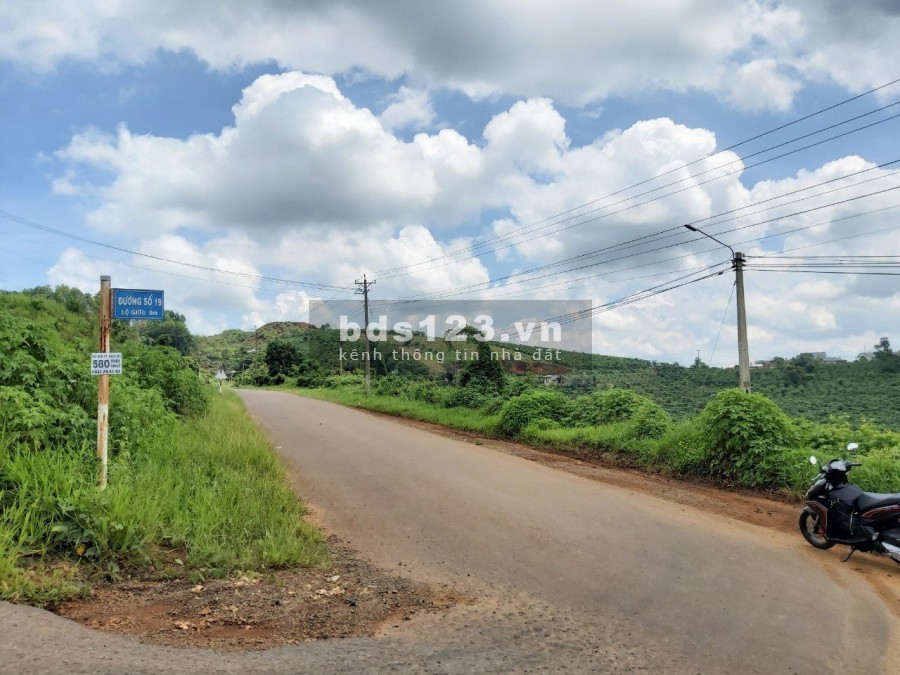 Bán 4.488 m2 đất trồng cây lâu năm tại thành phố Bảo Lộc, giá 7.5 tỷ