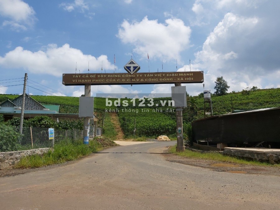 Bán 4.488 m2 đất trồng cây lâu năm tại thành phố Bảo Lộc, giá 7.5 tỷ