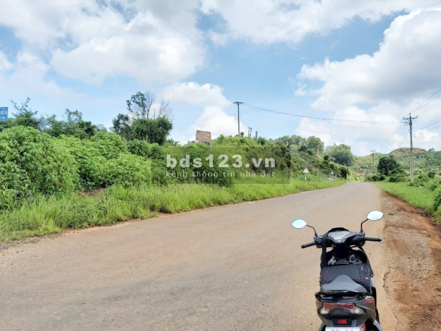 Bán 4.488 m2 đất trồng cây lâu năm tại thành phố Bảo Lộc, giá 7.5 tỷ