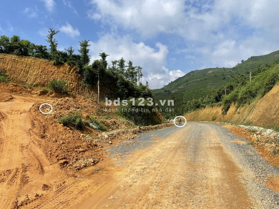 Bán 2.059m2 đất mặt tiền đường lớn tại TP Bảo Lộc, Lâm Đồng