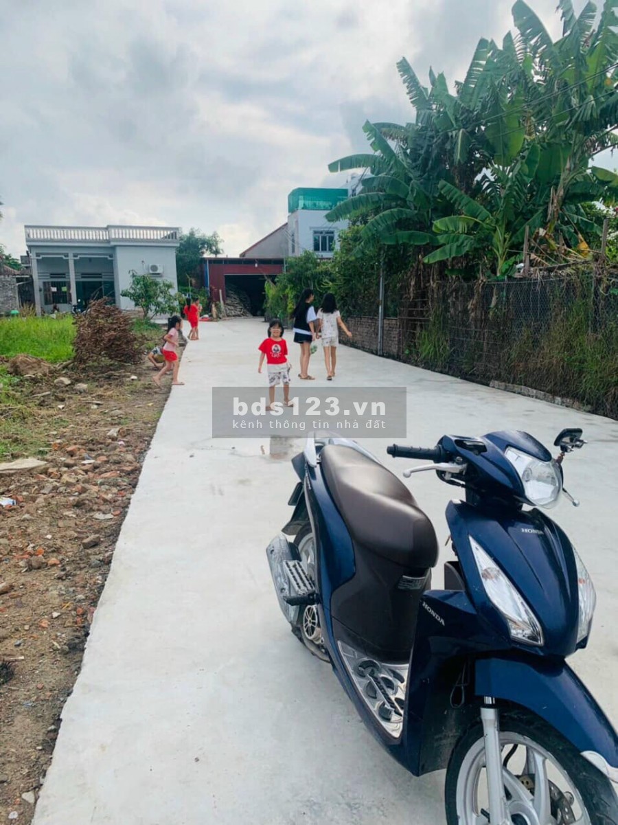 Sản phẩm đẹp hạ giá Thôn2 Bắc Sơn, An Dương, Hải Phòng, giá hấp dẫn
