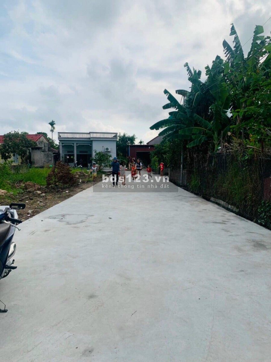 Sản phẩm đẹp hạ giá Thôn2 Bắc Sơn, An Dương, Hải Phòng, giá hấp dẫn