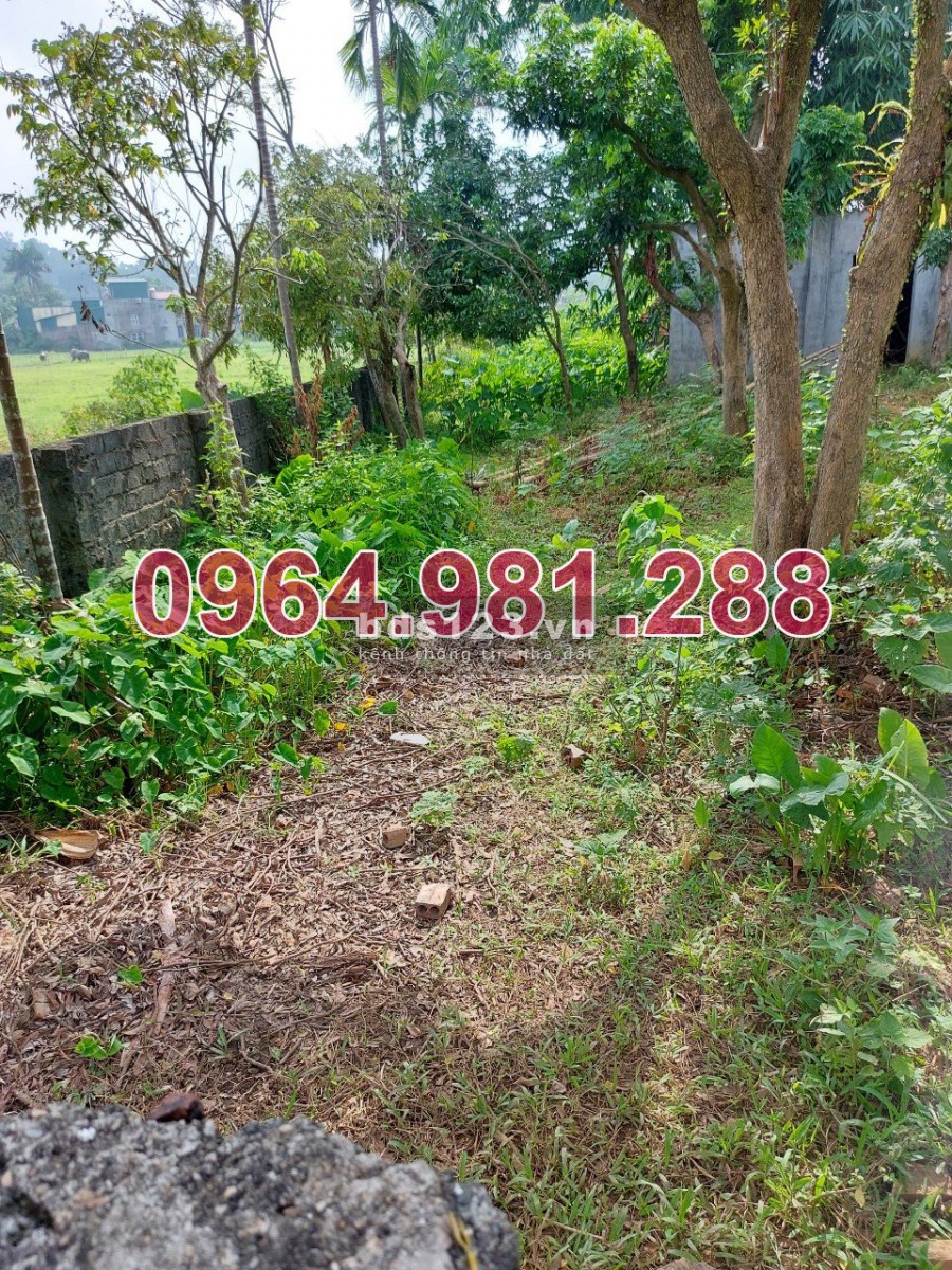 Bán gấp lô đất Hòa Lạc, Sát khu Xanh Villas, Cách Đại Lộ Thăng Long kéo dài 150m.