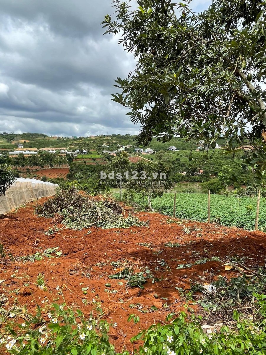 Bán lô đất 897m2, giá 2.6 tỷ đất đẹp Gia Lâm ven Đà Lạt,…