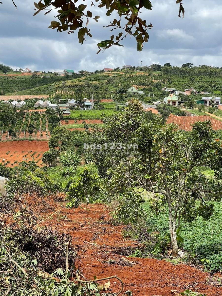 Bán lô đất 897m2, giá 2.6 tỷ đất đẹp Gia Lâm ven Đà Lạt,…