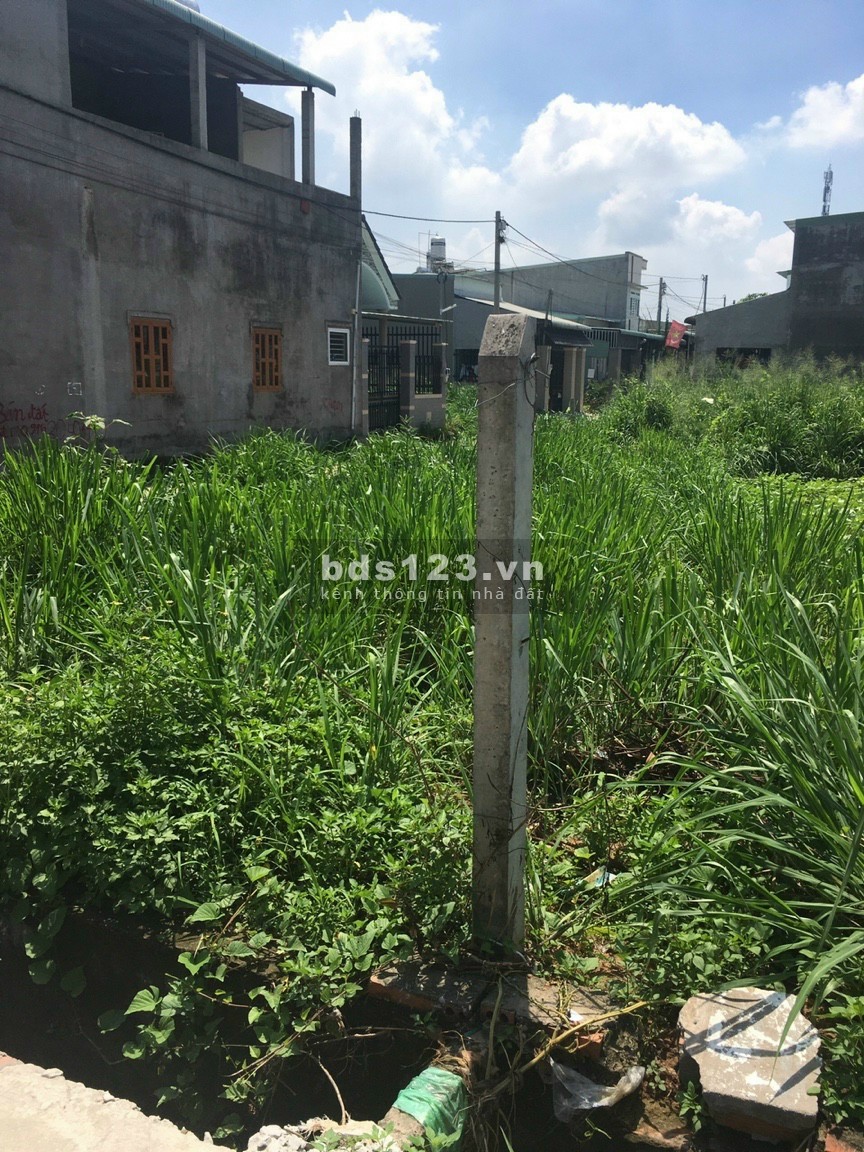 Bán đất mặt tiền mimosa gần chợ Quang Thắng 10,5x49 nở hậu 13m