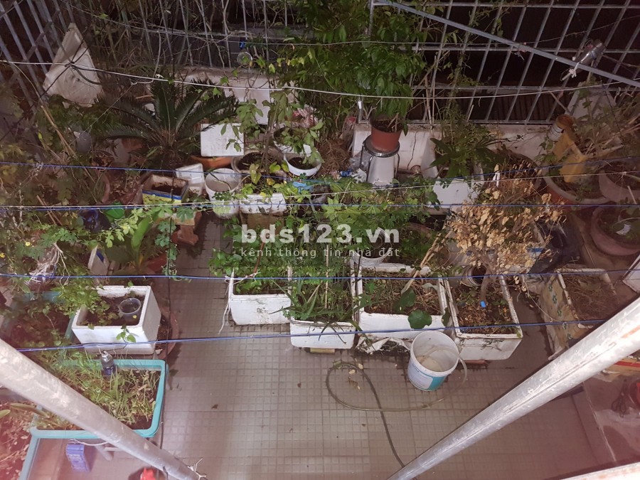 Hẻm an ninh 5m, Nhà Rất Đẹp Đường Thành Mỹ, Phường 8, Tân Bình, sổ hồng riêng