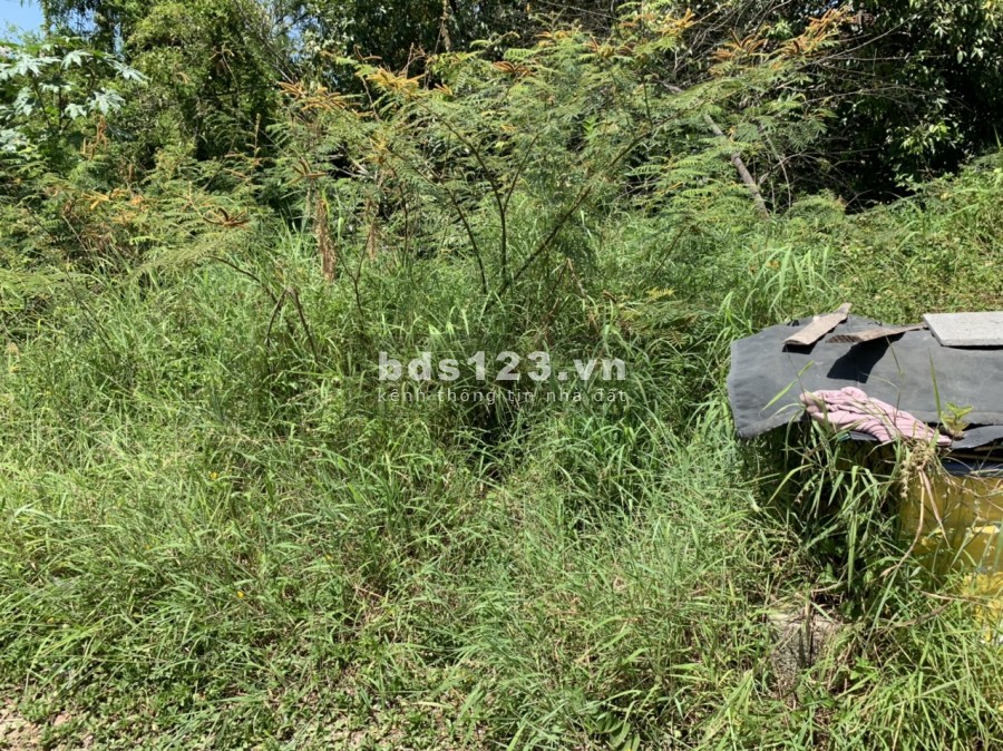 ️️️ CHỈ 1.2xx sở hữu NGAY lô Kiệt 73 Nguyễn Hữu Cảnh lô đất vuông vắn ️lh 0935034868