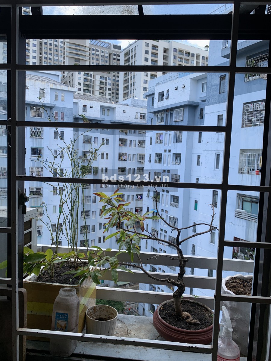 Cần cho thuê căn hộ 1pn 1 wc chung cư Tôn Thất Thuyết, lh 0907775283