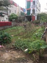 Bán đất Thanh Trì 58m2, ngõ thông, ô tô kinh doanh giá bán 4.4 tỷ, lhcc