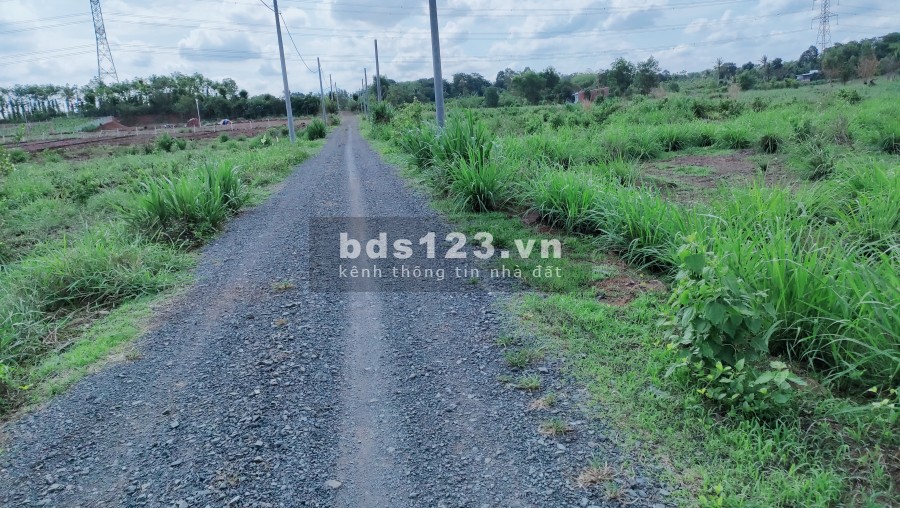 Bán đất sát khu định cư, sổ hồng có sẵn, cách Quốc Lộ 1A 2.5 km, giá 950 triệu/sào